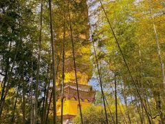 -阿育王寺