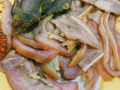 -东吴霸王兔(松青路店)
