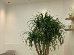 -山住茶(上海路万达店)