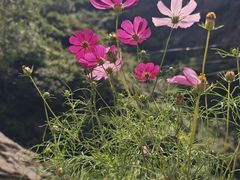 -小五台金河景区