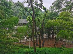 -岳麓山风景名胜区