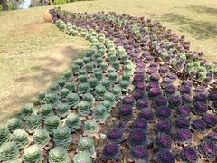 -云溪植物园