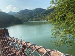 -广州白江湖森林公园