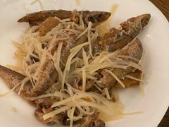 梅汁苦初鱼-福昌源食苑