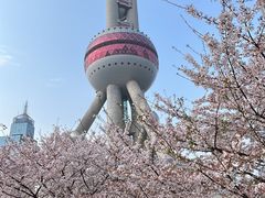 -东方明珠广播电视塔