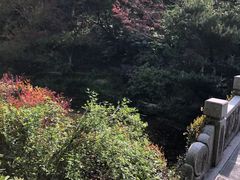 -杭州半山国家森林公园