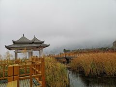 -抚仙湖禄充风景区