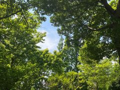 -狼山风景名胜区