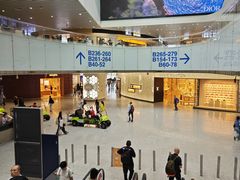 -广州白云国际机场-T2航站楼