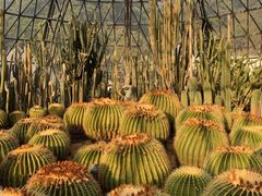 -深圳仙湖植物园