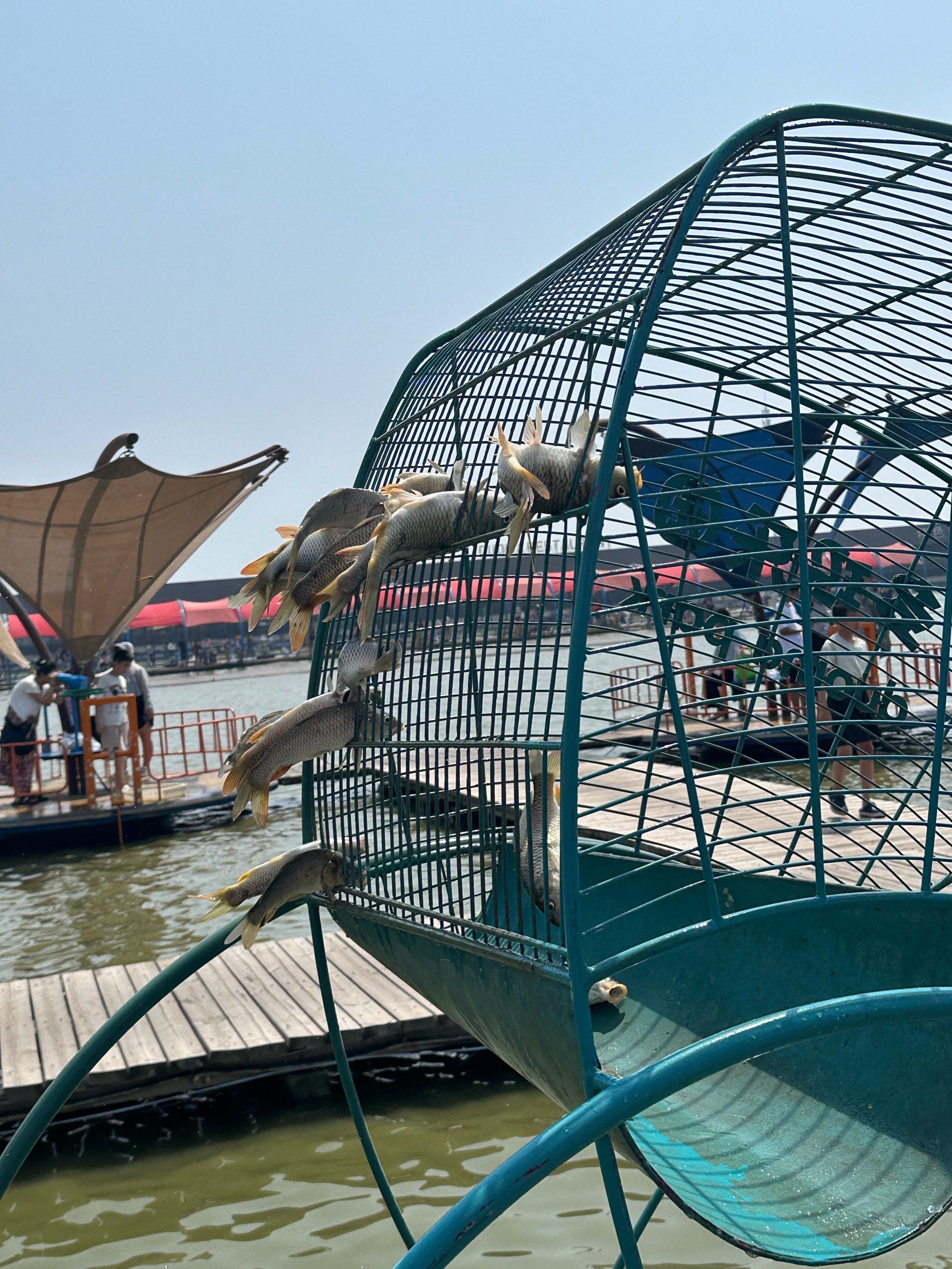 是国内第一家以渔为主题的乐园,各种抓鱼,网鱼的,摸鱼🐟,钓螃蟹🦀