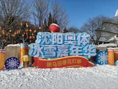 -沈阳奥体冰雪嘉年华