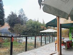 -云南野生动物园