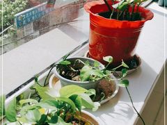 -武汉大学人民医院(首义院区)