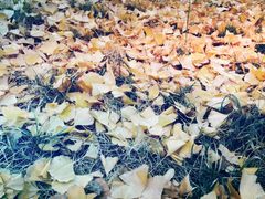 -长江路历史文化街区