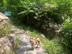 -北京水岸山吧度假村(雁栖镇店)