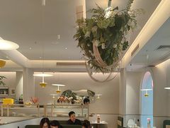 -Aqua Oasis 水天堂(太湖中心mall店)
