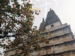 -北京石刻艺术博物馆(五塔寺)