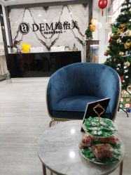 -DEM缔怡美科技美容