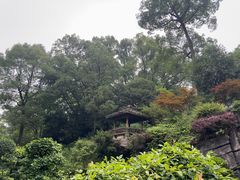 -南山植物园