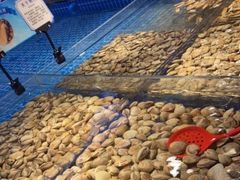 -焰江山海鲜牛排烤肉自助(锦华万达二星店)