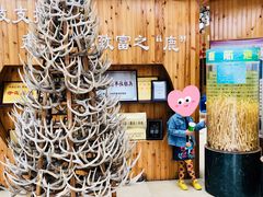 -北京鹿世界主题园