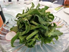 北极冰草沙拉-玉林烤鸭店(定福庄店)