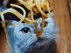 意大利风情肉酱面-达美乐比萨(武定店)