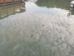 -白塔湖国家湿地公园