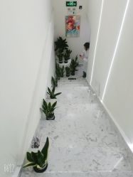 -海涛医疗美容·面部抗衰·注射美鼻