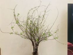 -尊尚柏丽美容SPA