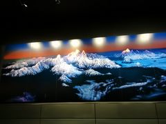 -罗红摄影艺术馆