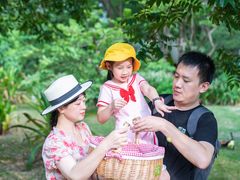 -福建鲤鱼洲酒店