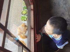 -韬光茶庵