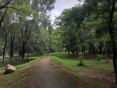 -长白岛森林公园