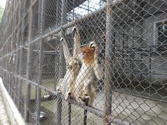 -哈尔滨北方森林动物园