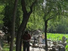 -莲湖公园