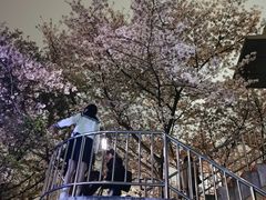 -南浦大桥长途旅游客运站