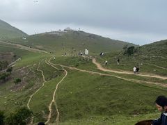 -大姆山草场
