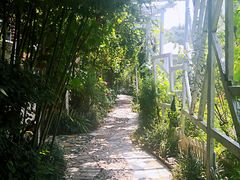 -小仙居·农家宴烤羊· 农庄