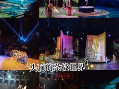 -上海马戏城