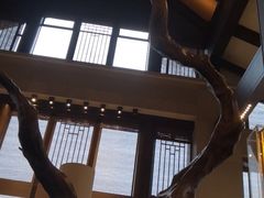 -清远熹乐谷温泉度假酒店