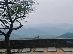 -莫干山风景区