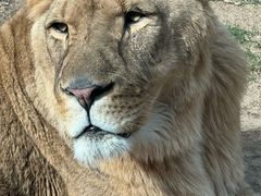 -北京野生动物园