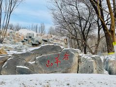 -北京野生动物园