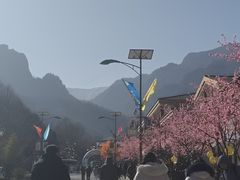 -青峰峡国家森林公园