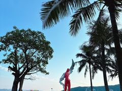 -大梅沙海滨公园