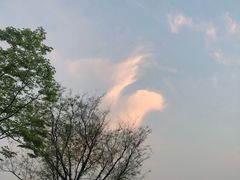 -山水间小院