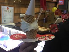 -野人先生现做冰淇淋(北京顺义祥云小镇店)