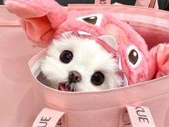 -肯德基(汤逊湖店)